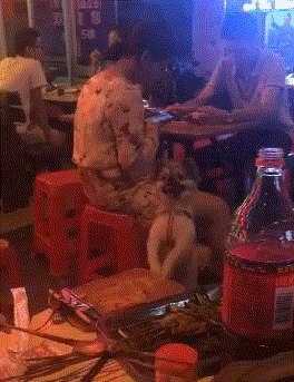 登峰造极|搞笑GIF：大叔这内功登峰造极呀，雨都进不了身