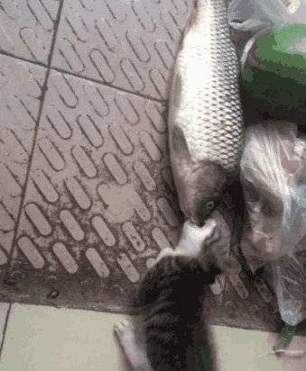 表姐夫|妹子，在家睡觉也要注意形象呀，你这姿势让人看见多尴尬