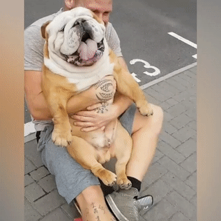 尴尬|搞笑GIF:这就尴尬了,一群男人看的很开心!!!