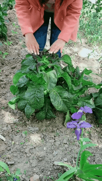飞檐走壁|搞笑动图GIF图片：小小年纪飞檐走壁，这也太危险了吧！！