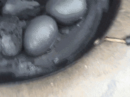 水上漂|搞笑GIF：姑娘，你好厉害啊！我还是算了！做不到！