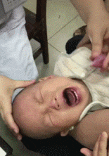 树上|搞笑GIF趣图:小朋友,告诉你这药不苦,你怎么就不相信呢?妻子流泪:“当年为何不辞而别