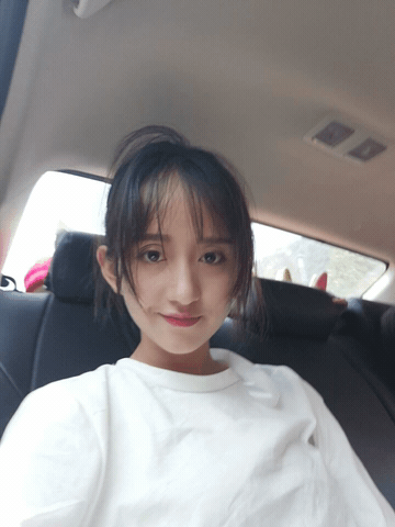 青菜|爆笑GIF：这只鸡聪明的让我有点措手不及