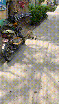 小男|搞笑gif趣图：看这小伙子，之前不一直喊：中班中班要有女生嘛