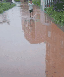 这是|GIF搞笑趣图:你们这是发生什么矛盾了,竟然打的这么凶!