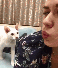 |笑到嘴疼的二十张图（fxa555）