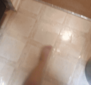 这是|搞笑GIF趣图:我裤子都脱了,你却给我看这个