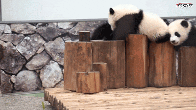 妹子|搞笑GIF: 逗比妹子一枚, 尤其是她那个流氓眼睛