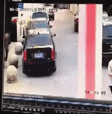 搞笑图片|搞笑图片：南方大雪，最开心的竟然是这群猪~