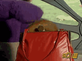 买家|嗨购后，我收到东西竟如此“惊悚”