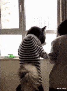 女朋友|搞笑GIF:睡觉带娃两不误,嘘,让我先眯一会儿