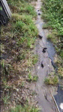 肛肠科|搞笑GIF:这技术一个月开多少钱合适?