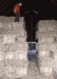 老妈|搞笑GIF：姑娘，你这样老总不会跟你走的。