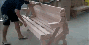 车主|不知道这俩货做了什么,车主如此残忍的把它们游街示众!