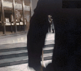 乔丹|搞笑图片:好胸,噢不对,好萌