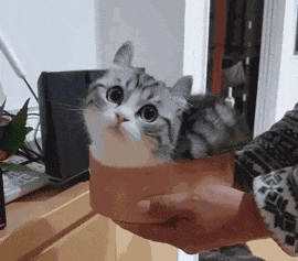 力气|搞笑GIF:钓鱼没有力气,真的不行,要不然连条鱼都拉不上来