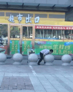 就是|第二张图太魔性了，我跟着这条狗子笑了起来！