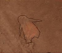 马达加斯加|搞笑GIF: 这是马达加斯加的企鹅