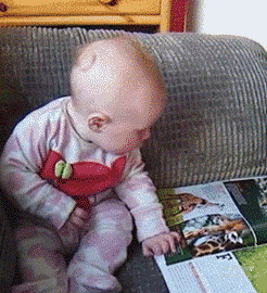 私房钱|搞笑GIF:火树