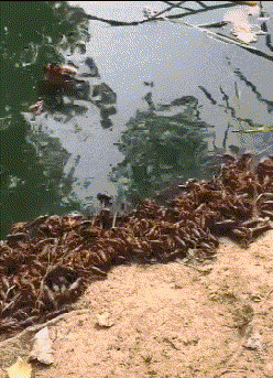 浴缸|搞笑GIF图：想要锻炼随时随地，看看人家姑娘用浴缸锻炼