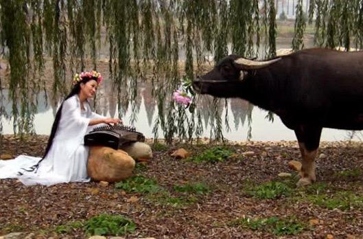 小明|搞笑段子:媳妇,咱能别唱了吗,我们家的牛就要发疯了