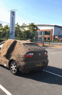 排位赛|搞笑gif：我们的爱情，是从那场排位赛开始的，后来，我们就结婚了