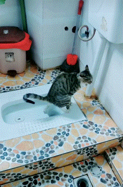 凉水|搞笑gif: 再贵，凉水泡面也不好吃！！