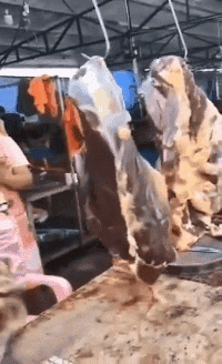 妹子|搞笑GIF:大哥你这是喜当爹啊