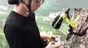 短腿|搞笑GIF:小短腿:我记得这台阶没这么高啊