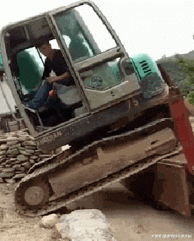 珍稀|这是什么珍稀物种？竟如此奇特！