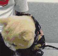 熟练|这熟练的一跪,充分暴露出了在家的家庭地位!