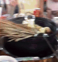 一块|GIF搞笑趣图：说了不让你尝试，不听，这下好了吧！