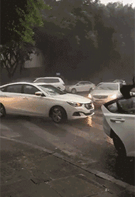 段子|搞笑gif：自从女朋友学会了射剑，我就从来没放心过