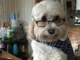 帅气|毕竟今天是和女朋友去约会，帅气的发型是少不了的