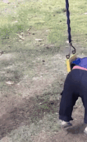 喷壶|搞笑趣图:今天去理发,看到理发师的动作我心里有种奇怪的感觉