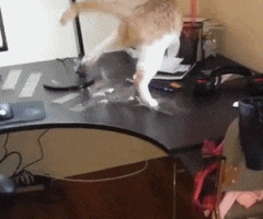 被子|搞笑GIF: 天冷了，自己盖好被子，睡觉