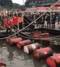 理想|搞笑GIF:理想很丰满,现实很骨感