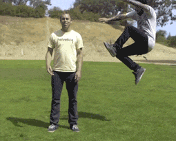 狮子狗|搞笑GIF：哥，我服你