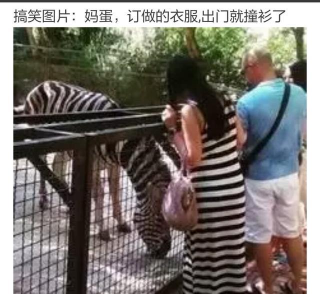 搞笑|十张搞笑图片，不笑打我脸