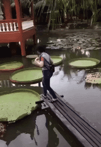 妹子|搞笑GIF：妹子：我以为在做梦，掉水里才知是现实！