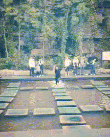 大舌头|搞笑GIF：风雪中，飞舞的大舌头，那不经意间的回眸一笑，有没有惊艳到你