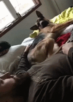 妹子|搞笑GIF:超可爱的妹子喜欢吗