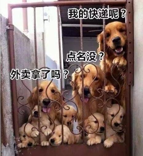 老师|搞笑GIF:我默默的站起来无辜的说,老师我没拉