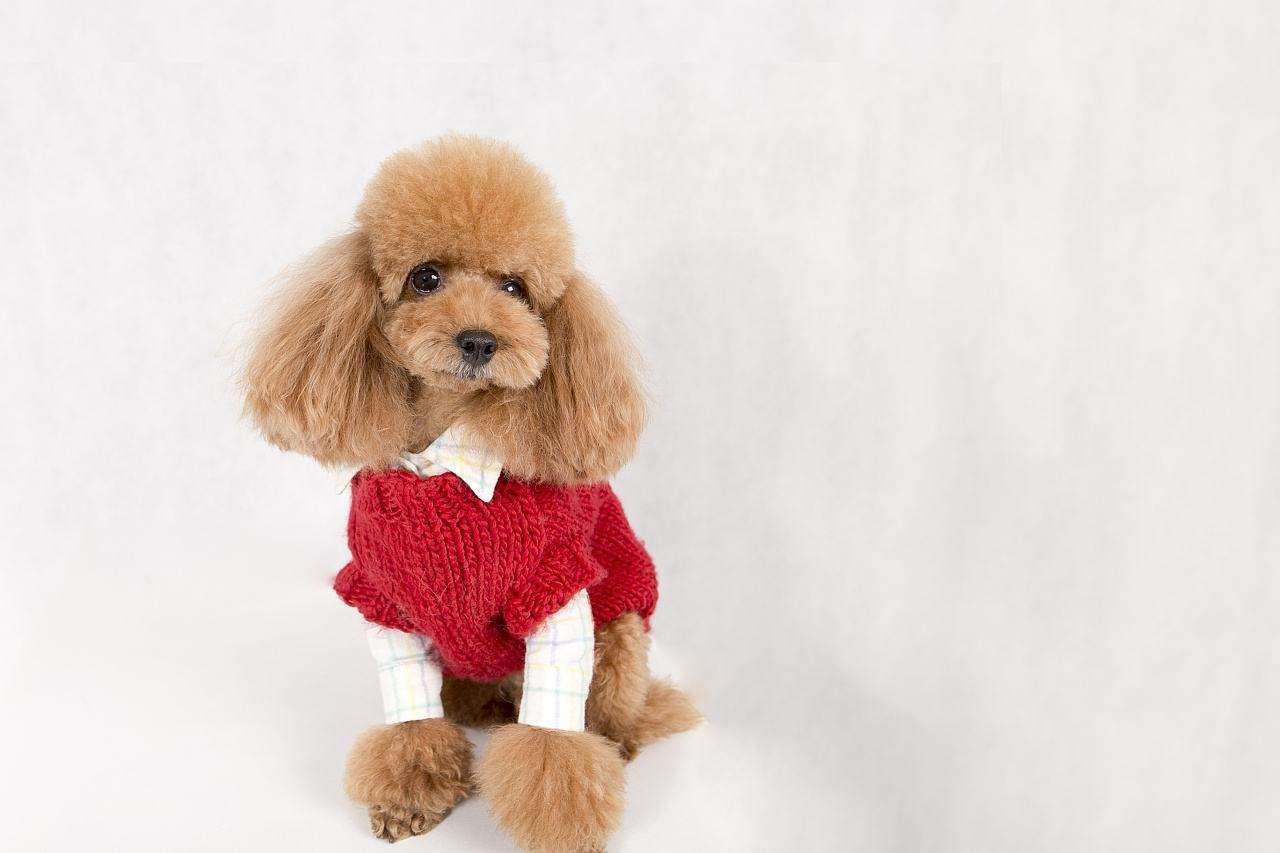 老婆|内涵段子合集 你那点钱怎么养我