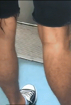 还是|搞笑gif趣图: 难道我平时给你的肉肉还不够你吃的?还是你想尝点新鲜的?