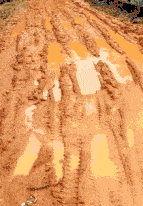 媳妇|搞笑GIF趣图：你这技术高啊！掉了的东西不用手就可以捡起来！