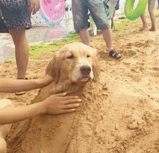 创口贴|姑娘你这创口贴是不是有些太大了