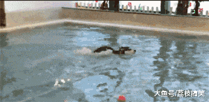 插兜|搞笑GIF趣图：想看看女朋友有没有整容，这样就对了！