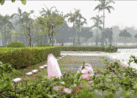 兔子|GIF搞笑趣图: 你放过我吧，我以后再也不偷吃了...