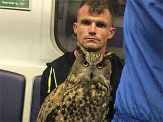 助人为乐|搞笑GIF: 大哥助人为乐是好事,但是下车不要忘拉手刹